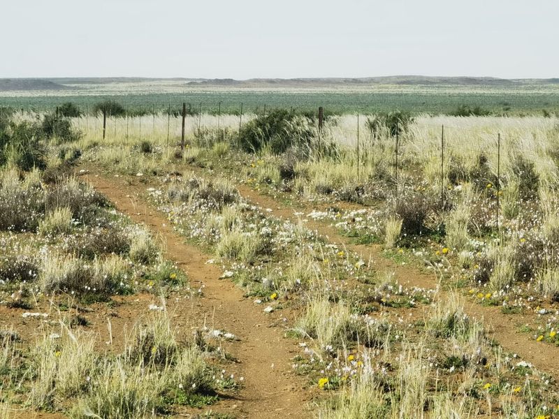 Well-Maintained Farm near Loeriesfontein  in the Beautiful Boesmanland - Photo 8