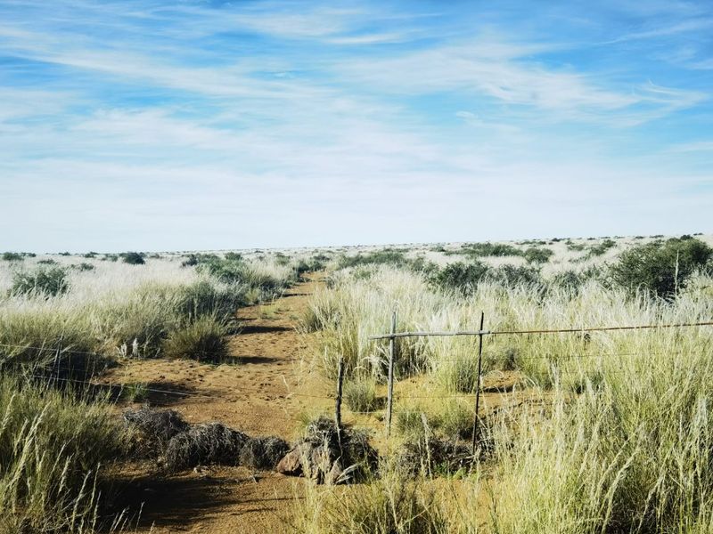 Expansive rural landscape view featuring natural grassland and traditional wire farm fencing under a clear blue sky.