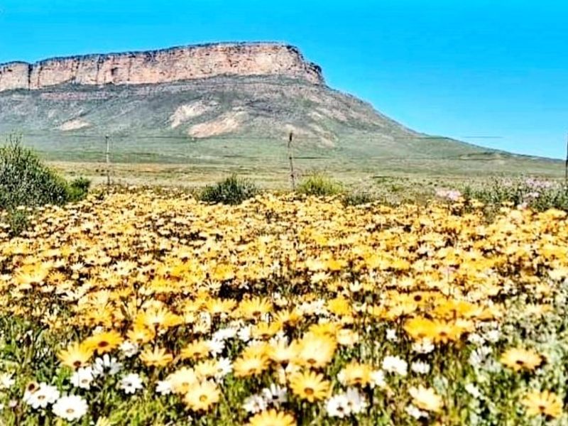 Property for Sale in Vanrhynsdorp - GOOD RENTAL INCOME - Photo 8