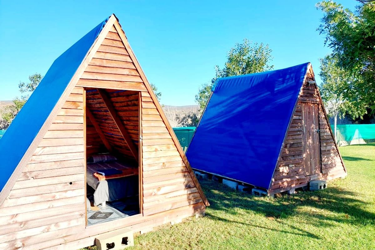 Two rustic A-frame timber cabins situated on a grassy farm plot, featuring basic construction and temporary tarpaulin roof coverings.