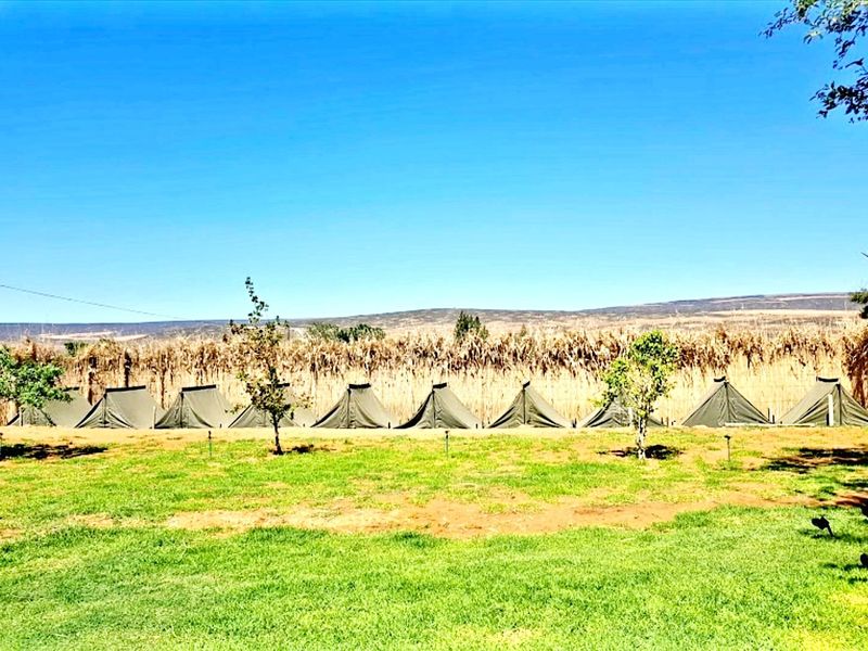A wide, open garden area featuring a well-maintained lawn with young trees, set against a backdrop of rural landscape and field crops.
