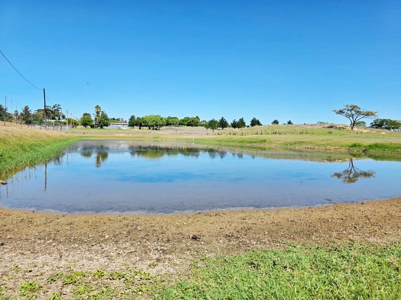 STELLENBOSCH SMALLHOLDING FOR SALE !!!! - Photo 3