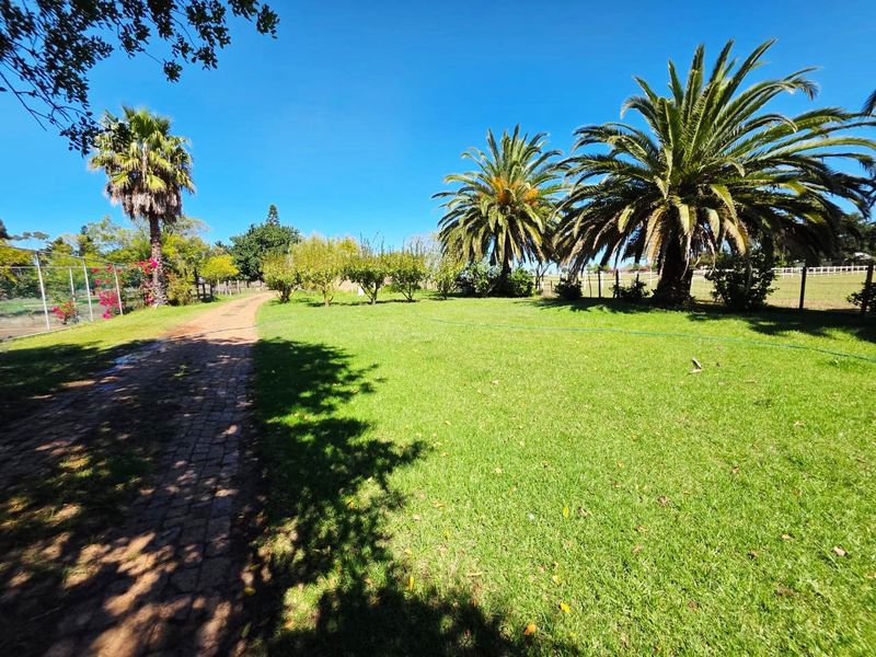STELLENBOSCH SMALLHOLDING FOR SALE !!!! - Photo 2