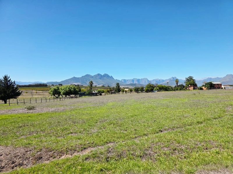 STELLENBOSCH SMALLHOLDING FOR SALE !!!! - Photo 1