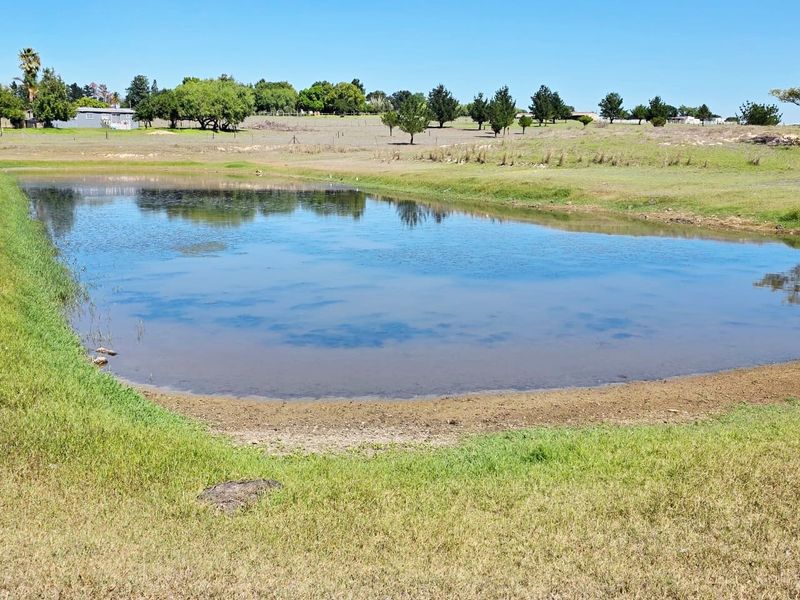 A scenic view of a farm dam surrounded by open pasture and mature trees on a clear day.