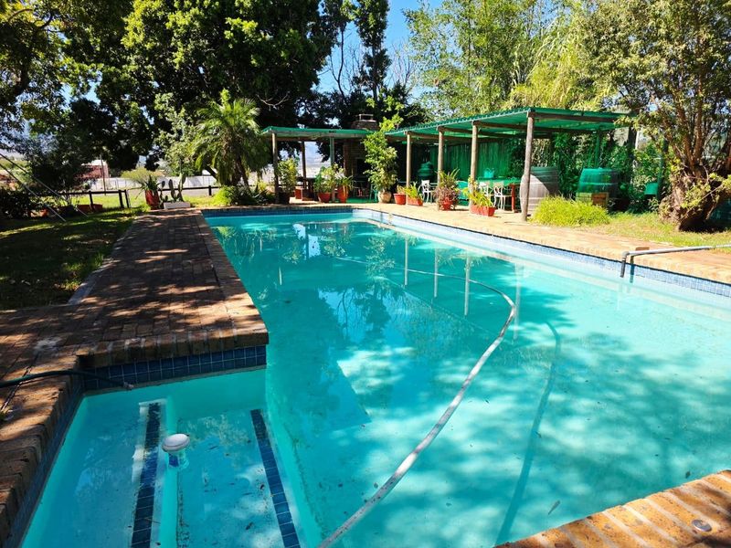 STELLENBOSCH SMALLHOLDING FOR SALE !!!! - Photo 5