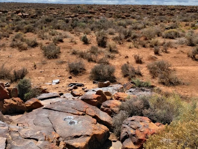Farm for Sale – Hantam Karoo (Boesmanland), 70 km from Calvinia - Photo 3