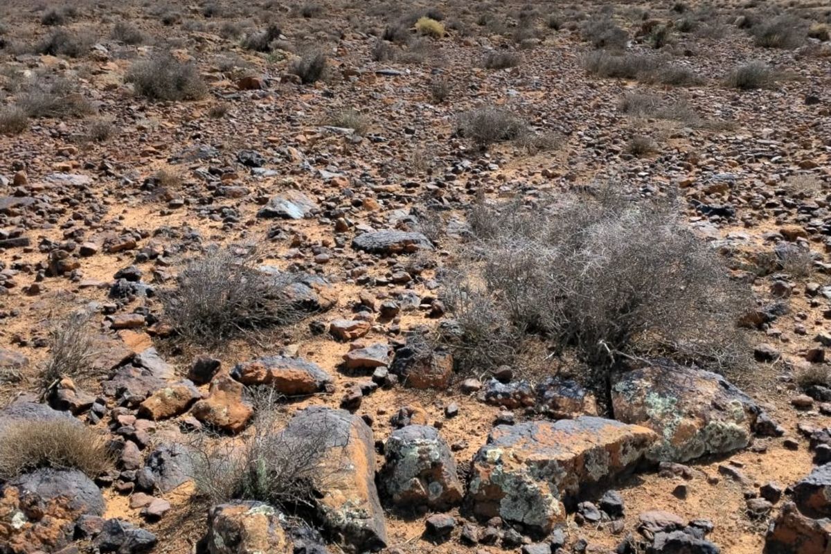 Expansive view of the arid, rocky landscape characteristic of the farm property, featuring natural terrain and native vegetation under a cloudy sky.