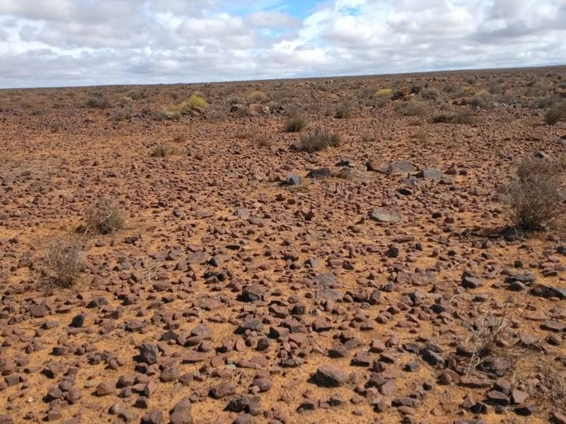 Farm for Sale – Hantam Karoo (Boesmanland), 70 km from Calvinia - Photo 8