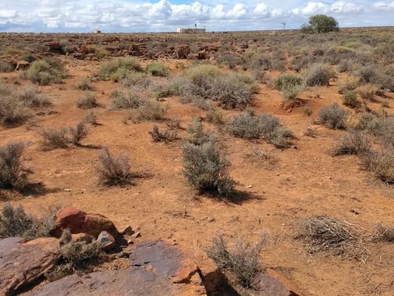 Farm for Sale – Hantam Karoo (Boesmanland), 70 km from Calvinia - Photo 7