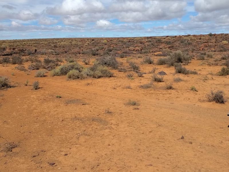Farm for Sale – Hantam Karoo (Boesmanland), 70 km from Calvinia - Photo 6