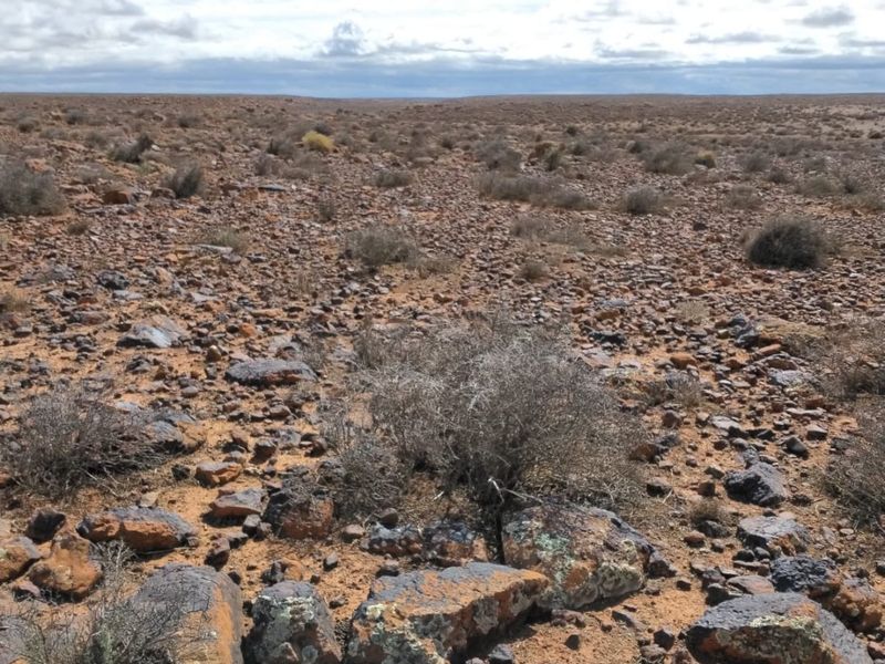 Farm for Sale – Hantam Karoo (Boesmanland), 70 km from Calvinia - Photo 1