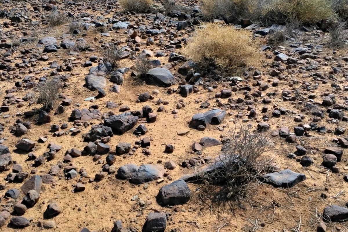 A wide-angle view of the arid, rocky landscape characteristic of the farm property, showcasing the natural terrain and open horizon.