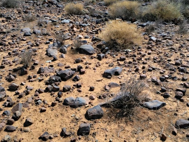 Farm for Sale – Hantam Karoo (Boesmanland), 70 km from Calvinia - Photo 5