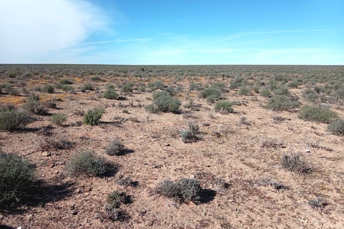A wide-angle view of the expansive, arid landscape characteristic of the farm property, featuring natural scrub vegetation and open terrain.