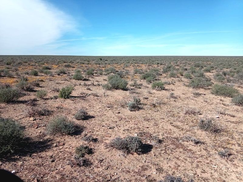 Farm for Sale – Hantam Karoo (Boesmanland), 70 km from Calvinia - Photo 2