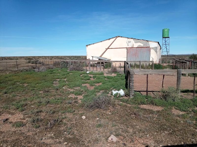 Farm for Sale – Hantam Karoo (Boesmanland), 70 km from Calvinia - Photo 3