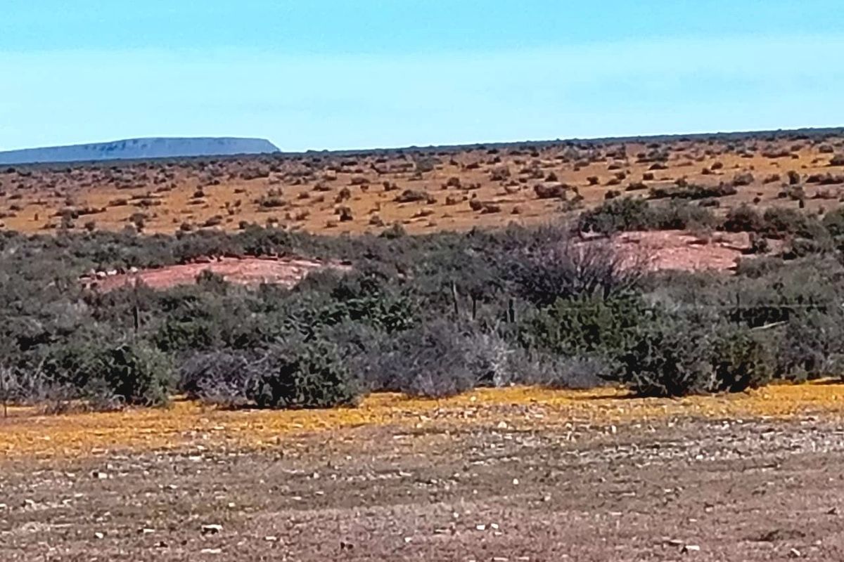 A wide-angle view of the expansive rural landscape, featuring natural scrubland, rocky outcrops, and distant hills under a clear blue sky.