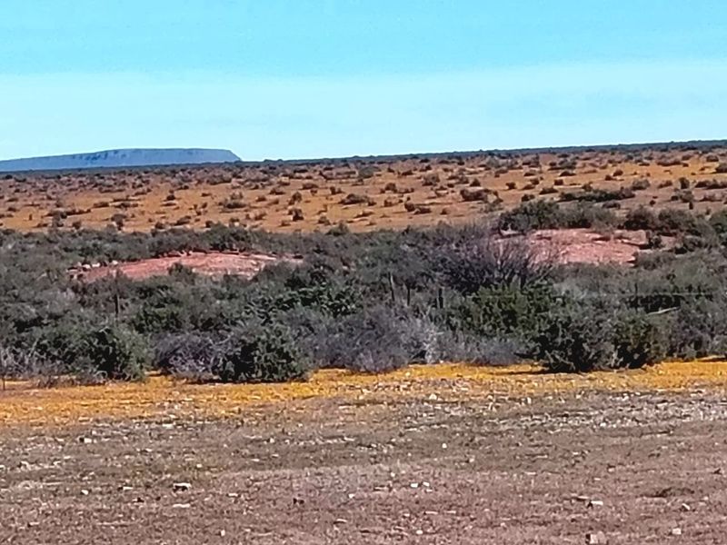 Farm for Sale – Hantam Karoo (Boesmanland), 70 km from Calvinia - Photo 1