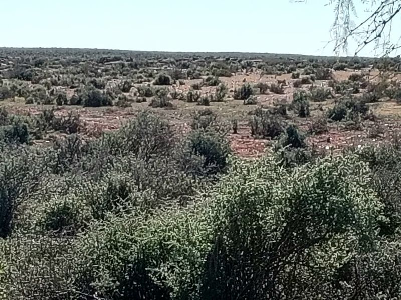 Farm for Sale – Hantam Karoo (Boesmanland), 70 km from Calvinia - Photo 10