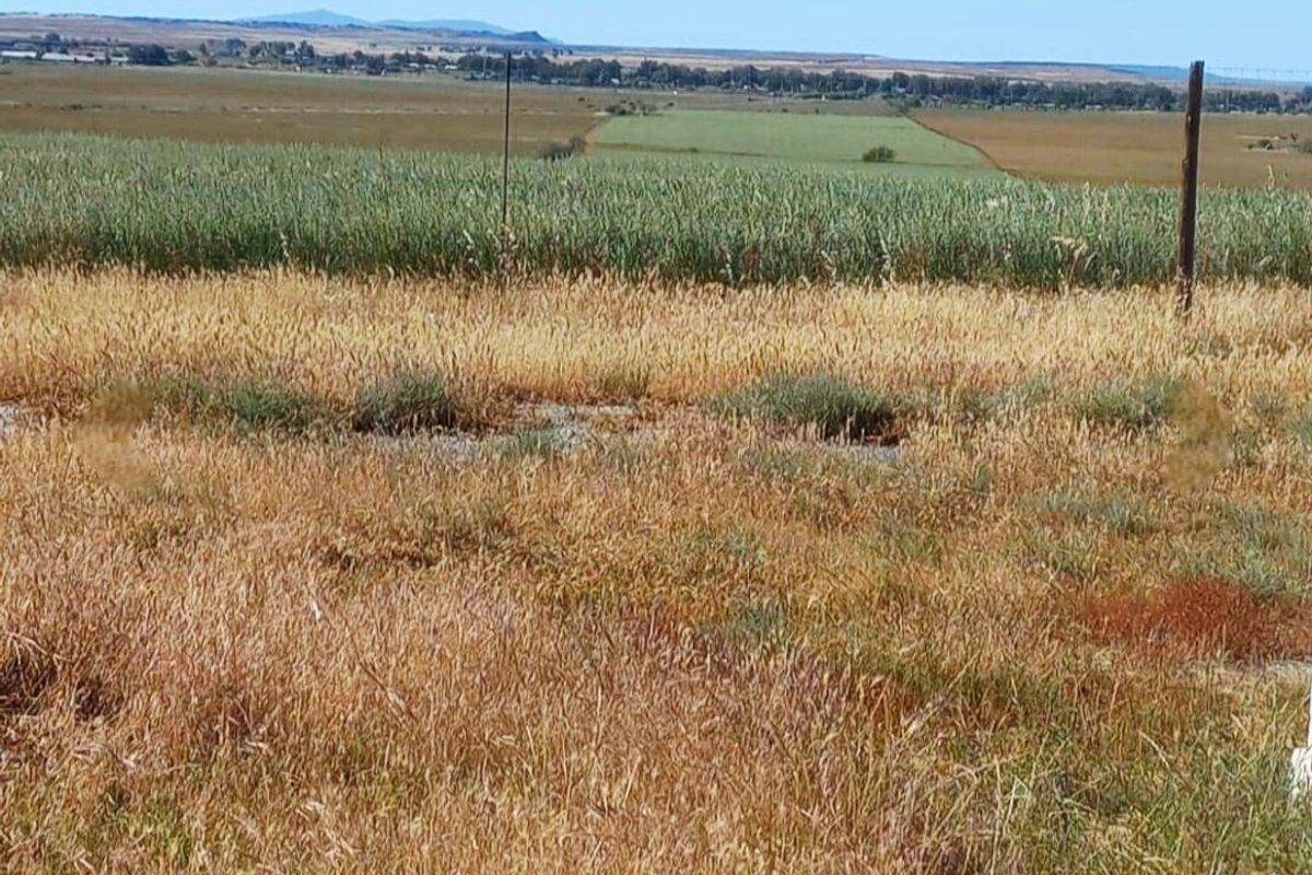 Expansive rural landscape view featuring open fields and agricultural land under a clear blue sky.