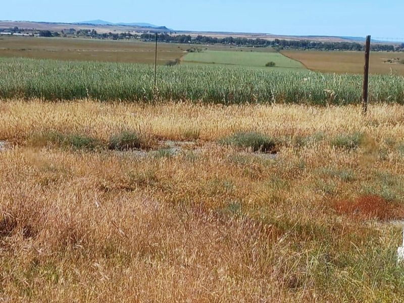 A Rare Gem Near Nieuwoudtville WITH extra income already in place. - Photo 2