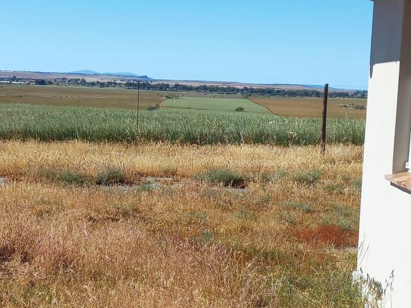 A Rare Gem Near Nieuwoudtville WITH extra income already in place. - Photo 6