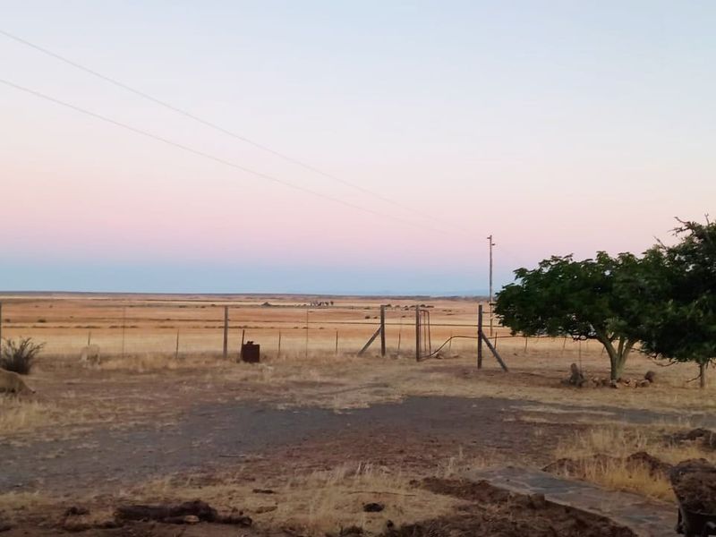 A Rare Gem Near Nieuwoudtville WITH extra income already in place. - Photo 4