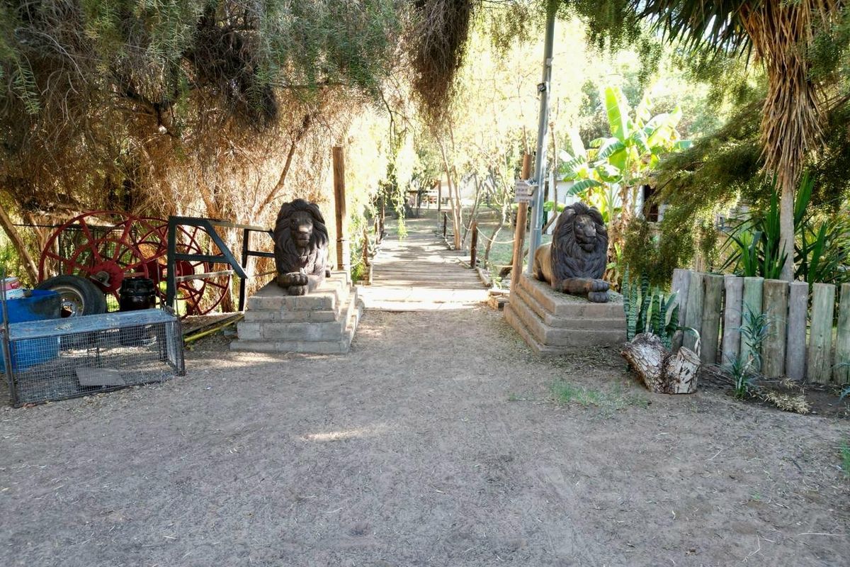 A rustic garden pathway featuring a wooden bridge flanked by decorative stone lion statues and natural landscaping.