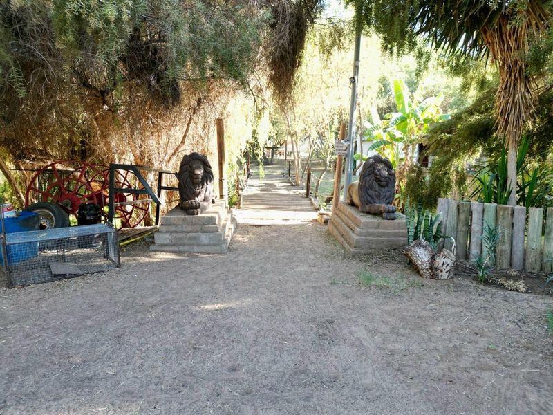 A rare opportunity to own a thriving tourism destination on the banks of the majestic Orange River. - Photo 4