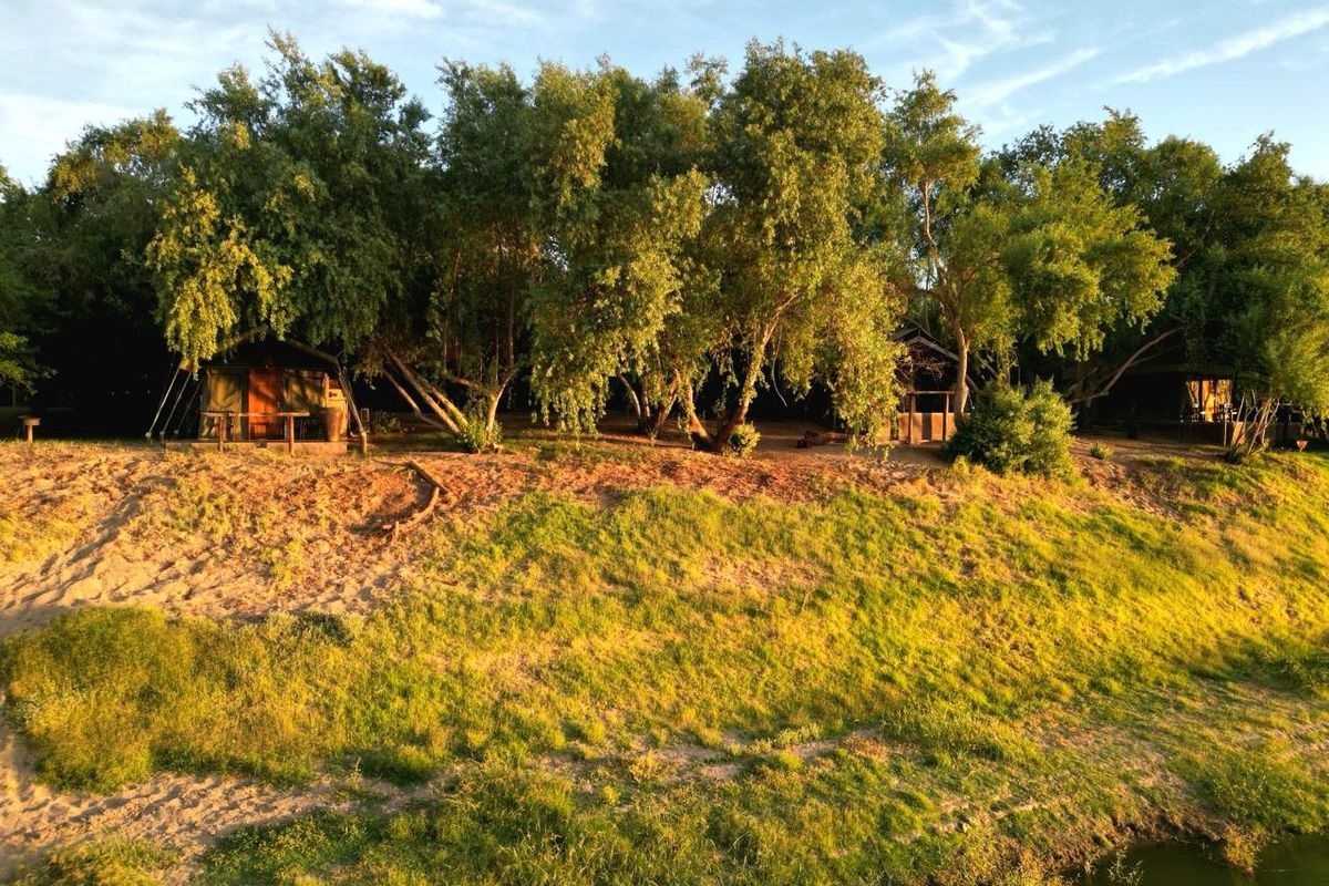 Scenic view of elevated timber structures nestled among mature trees along a riverbank, offering a tranquil natural setting.