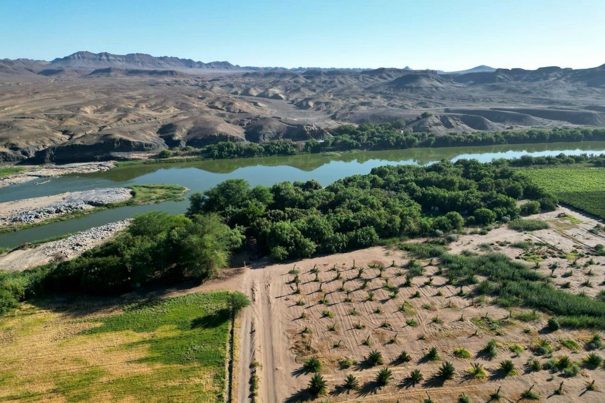 Aerial view of a commercial agricultural property featuring river frontage, cultivated fields, and established orchard plantings in a scenic landscape.