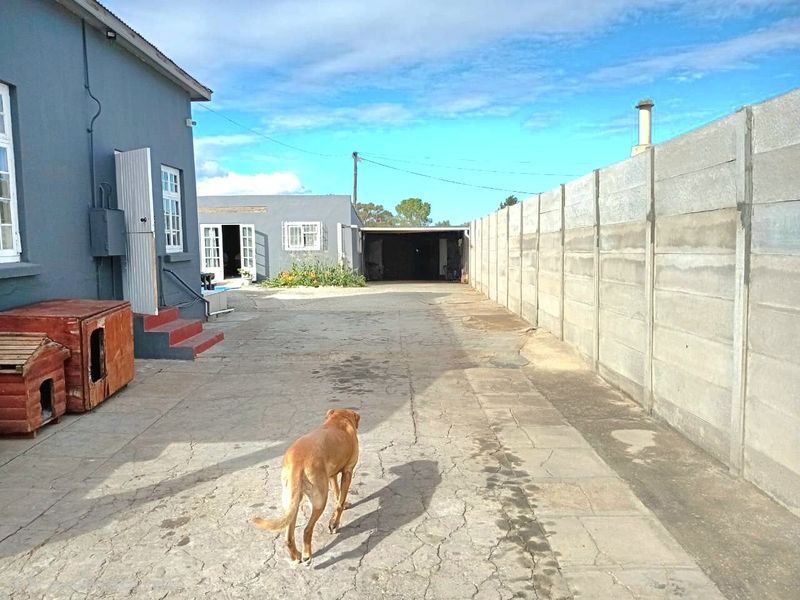 Rear exterior view showing a concrete driveway, precast boundary wall, and a detached carport structure.