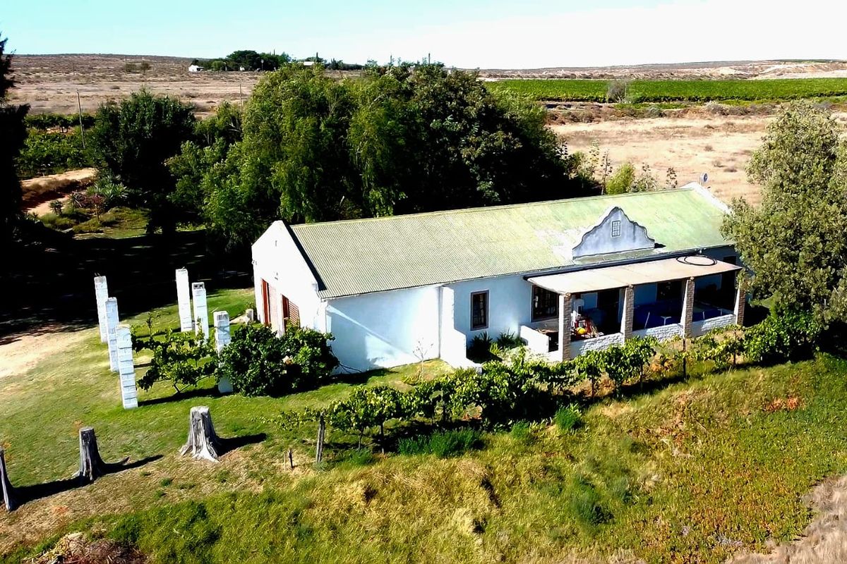 Aerial view of a traditional farm cottage featuring a corrugated metal roof, a covered patio, and surrounding vineyard landscape.