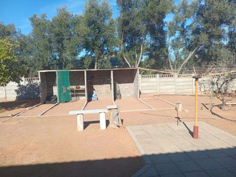 Huge Family Home for Sale in Vanrhynsdorp, Namaqualand – Under R2 Million! - Photo 6