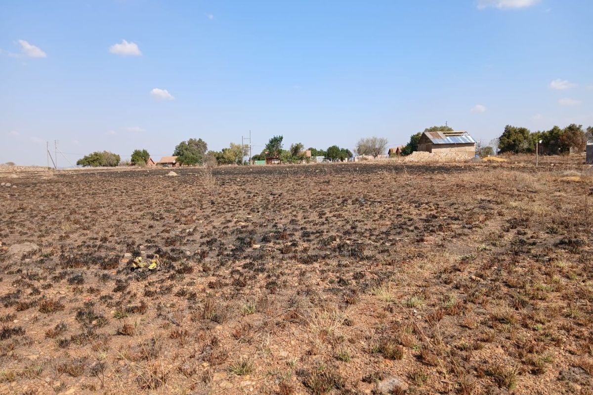 A view of a vacant residential plot featuring dry, burnt vegetation under a clear blue sky.