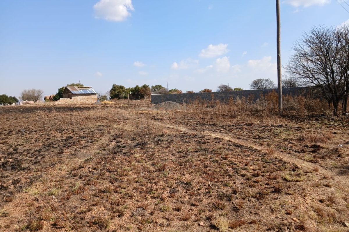 A view of a vacant residential plot featuring dry vegetation, a boundary wall, and a utility pole on the property.