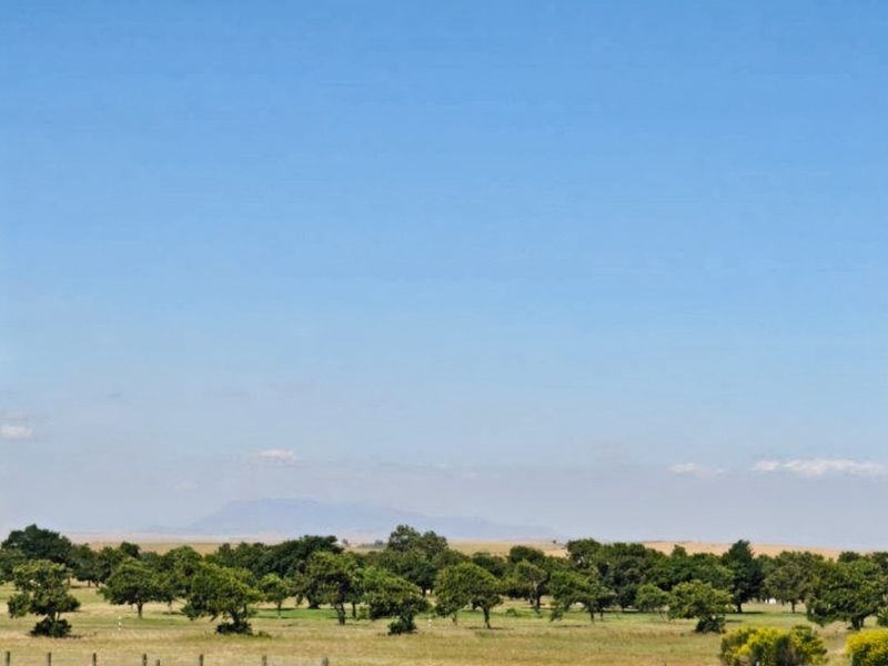 Country Living, Perfectly Positioned – Modern Family Home in Darling - Photo 2