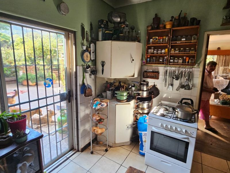 Spacious 16ha Farm With Endless Potential - Photo 5