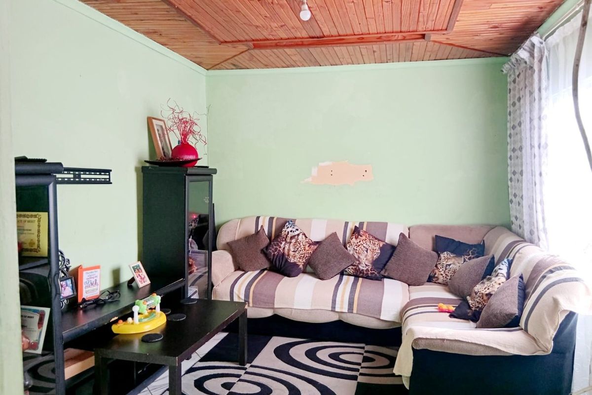 A living room featuring a timber tongue and groove ceiling and green walls with visible surface damage.