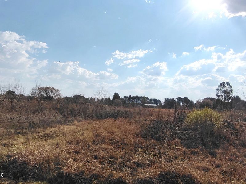 Versatile 2.1ha smallholding - Photo 6