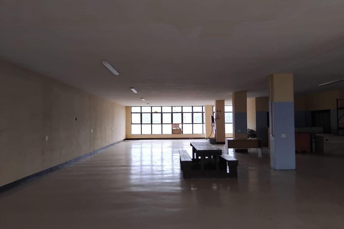 Spacious open-plan commercial area featuring large grid windows, structural columns, and durable flooring, suitable for a variety of office or retail configurations.