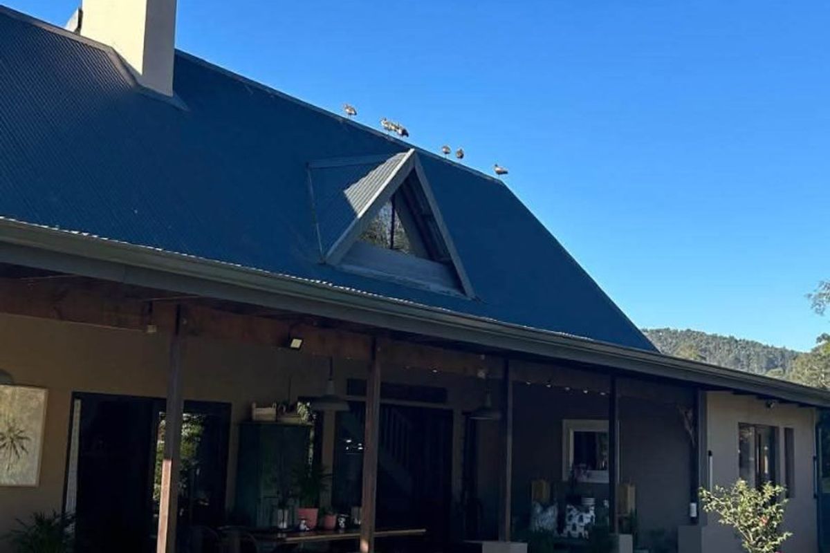 Rear view of a farm-style residence featuring a large covered patio, corrugated metal roof, and a prominent chimney set against a landscaped garden.