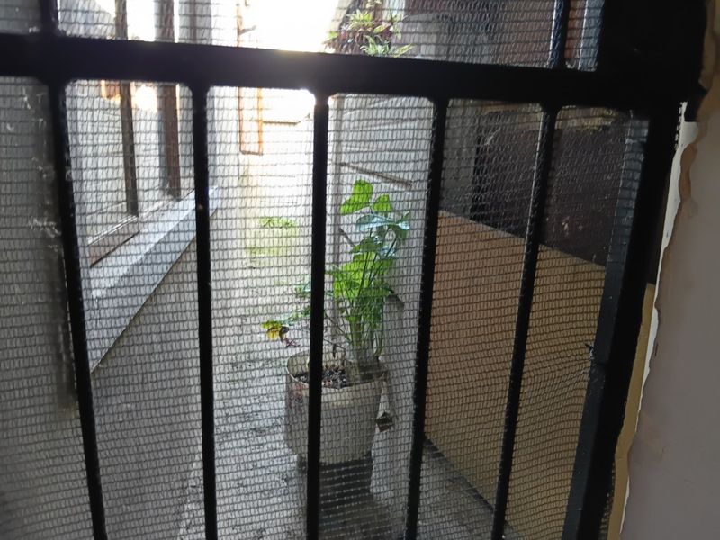A narrow exterior side passage or rear courtyard area viewed through a security gate, showing brick wall finishes.
