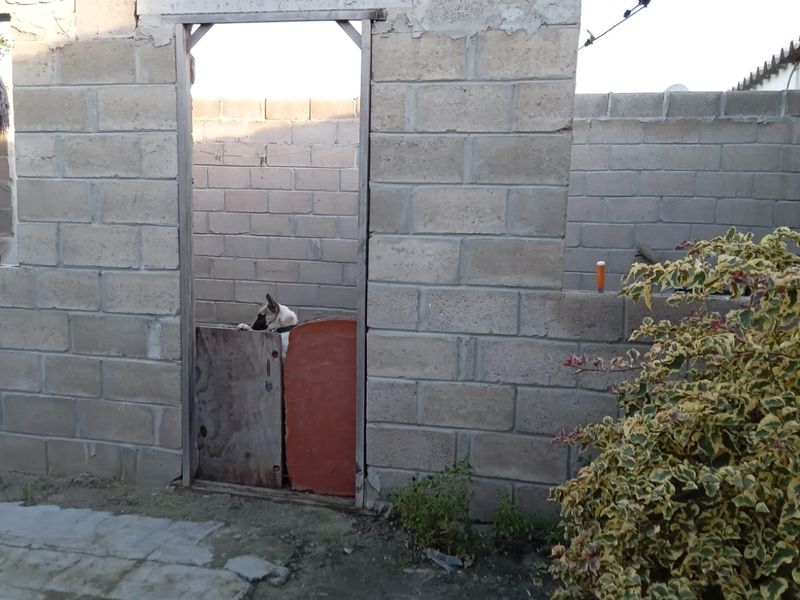 An unfinished outdoor structure featuring exposed concrete block walls and a simple door frame, currently in a state of incomplete construction.