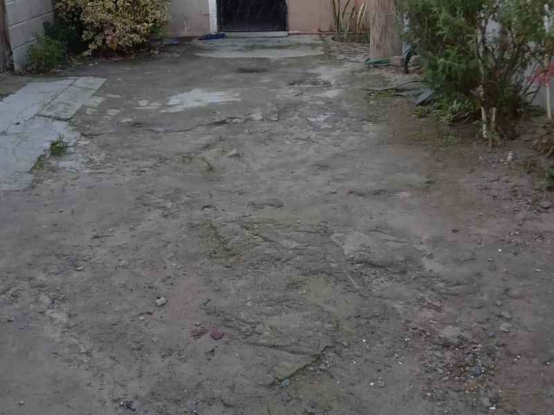 Rear exterior area featuring a concrete patio, security gate, and security bars on windows, requiring maintenance and landscaping improvements.