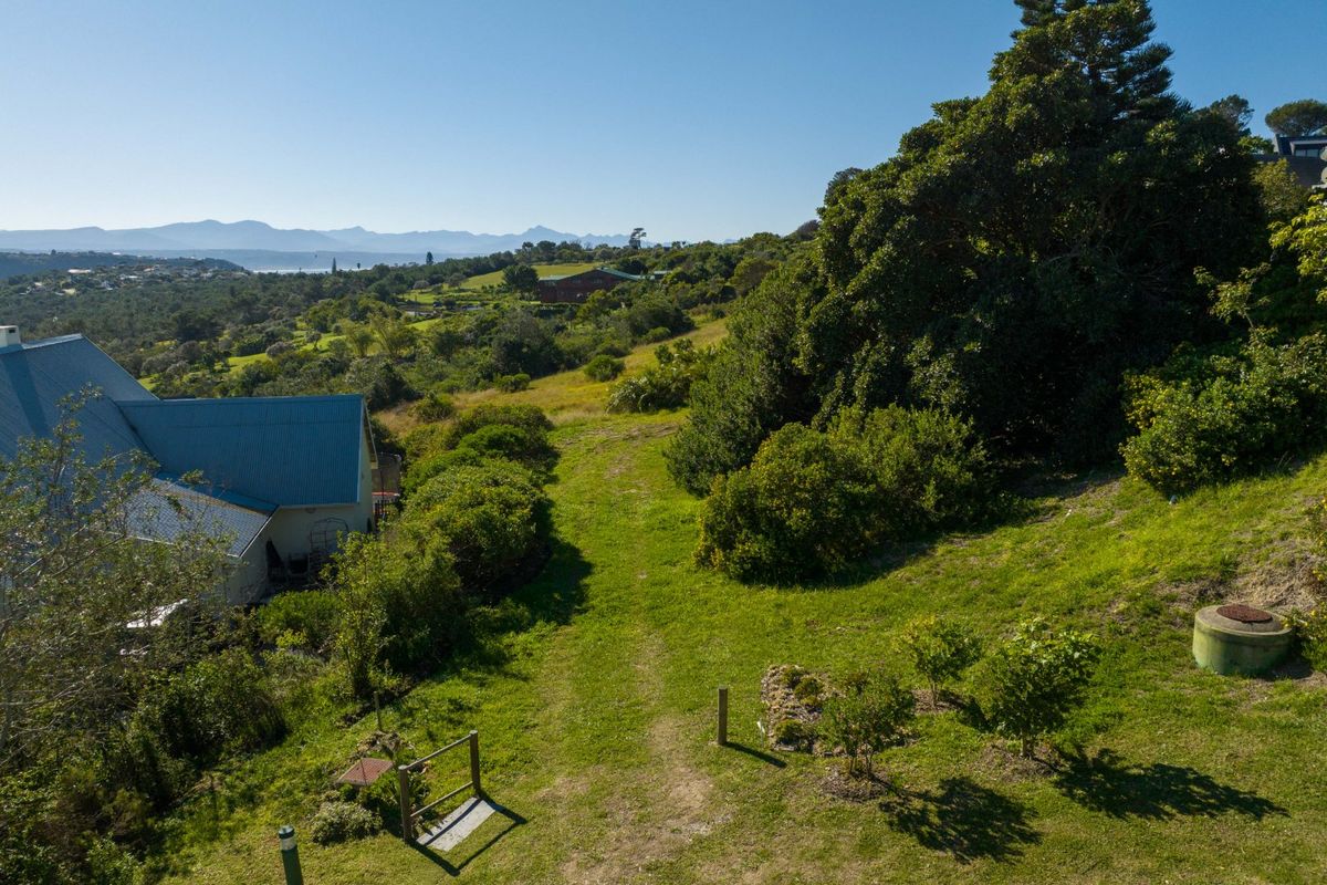 An elevated aerial view of a sloped residential vacant land plot featuring established trees, natural grassland, and scenic mountain views in the distance.
