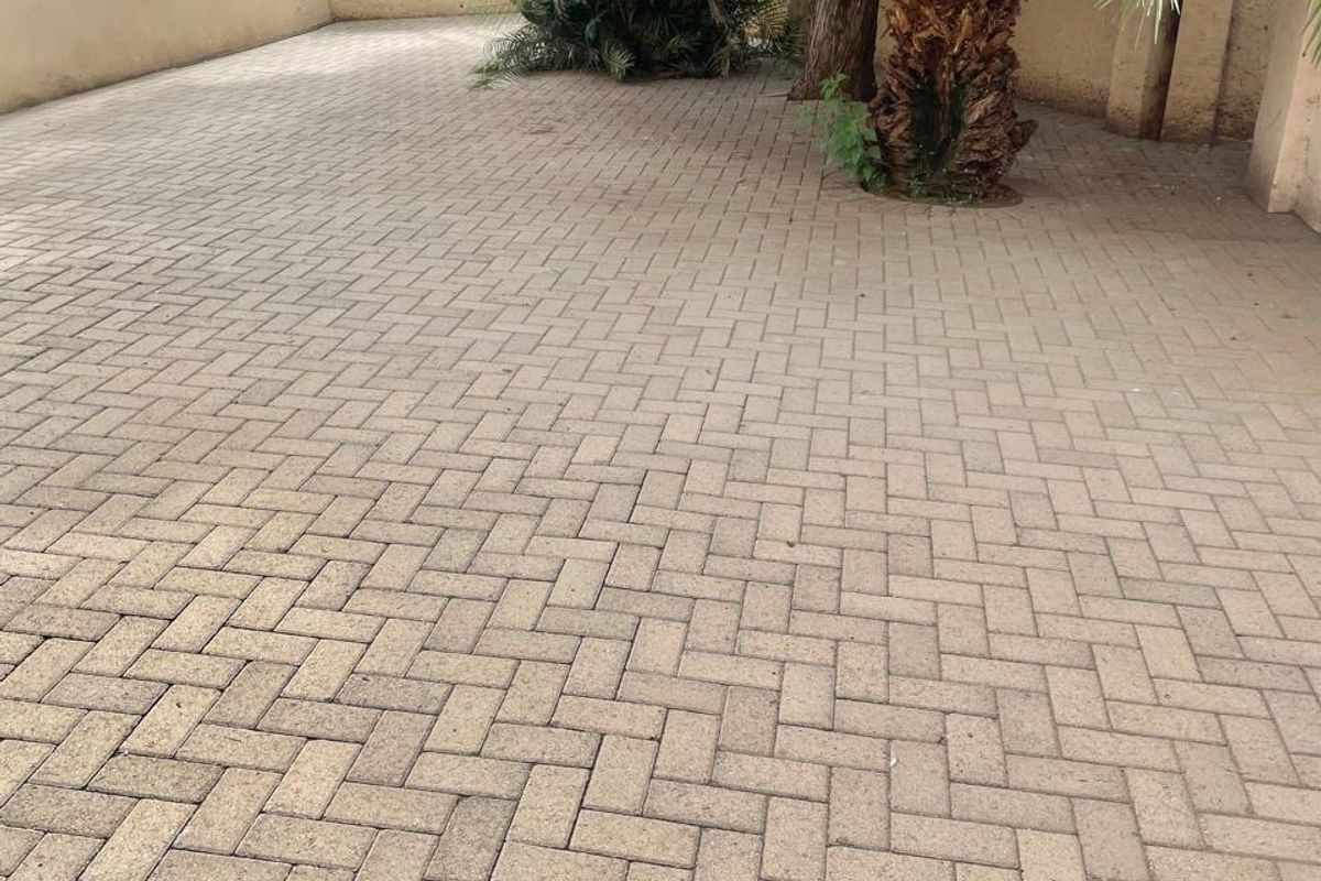 A private paved rear courtyard featuring a mature palm tree and enclosed by high perimeter boundary walls.