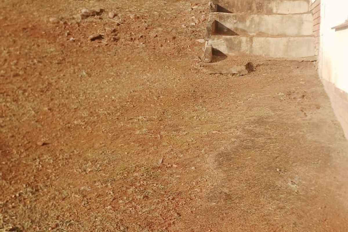 Rear exterior view showing a sloped garden area with concrete stairs leading up alongside the building wall.