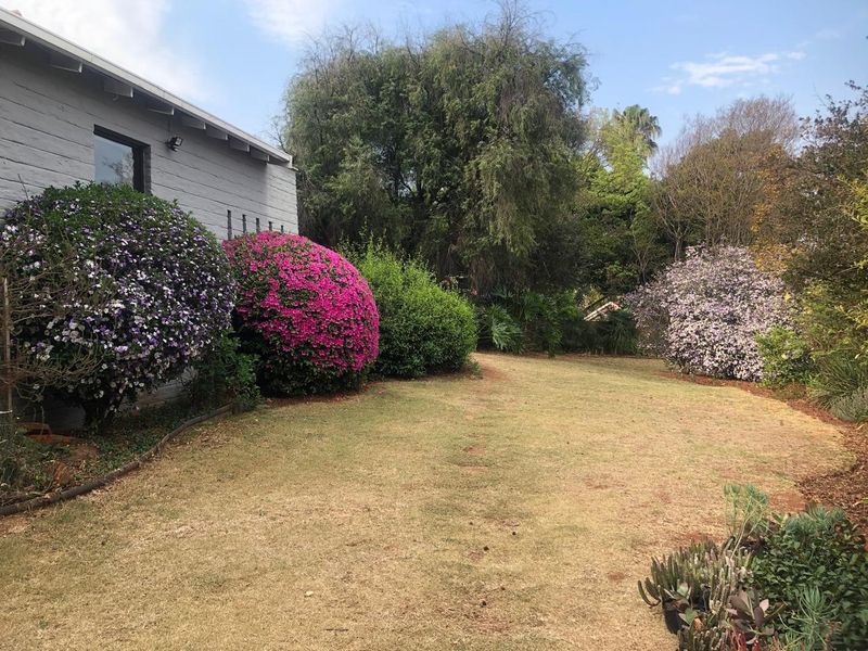A well-established garden featuring mature flowering shrubs and a lawn area adjacent to the side of the house.
